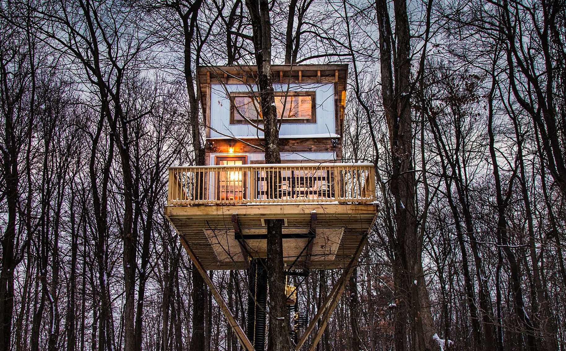 Homes Treehouses